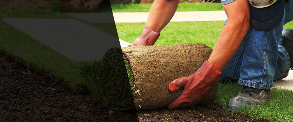Streamwood Landscapers
